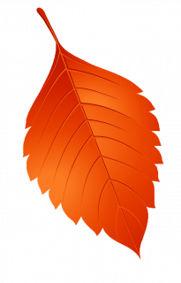 centro_reciclaje_altiplano_logo